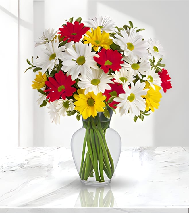 Colorful Daisy Bouquet, Graduation