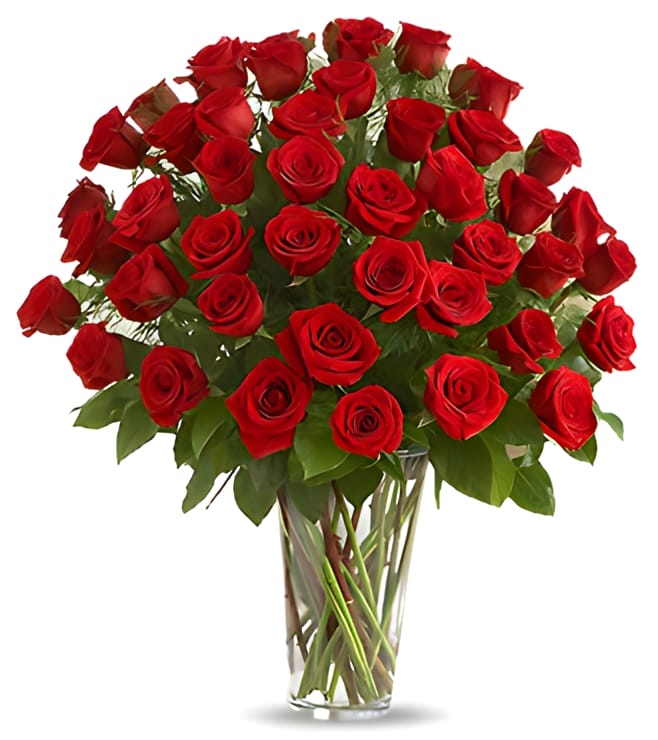 50 Red Roses, Valentine Flowers