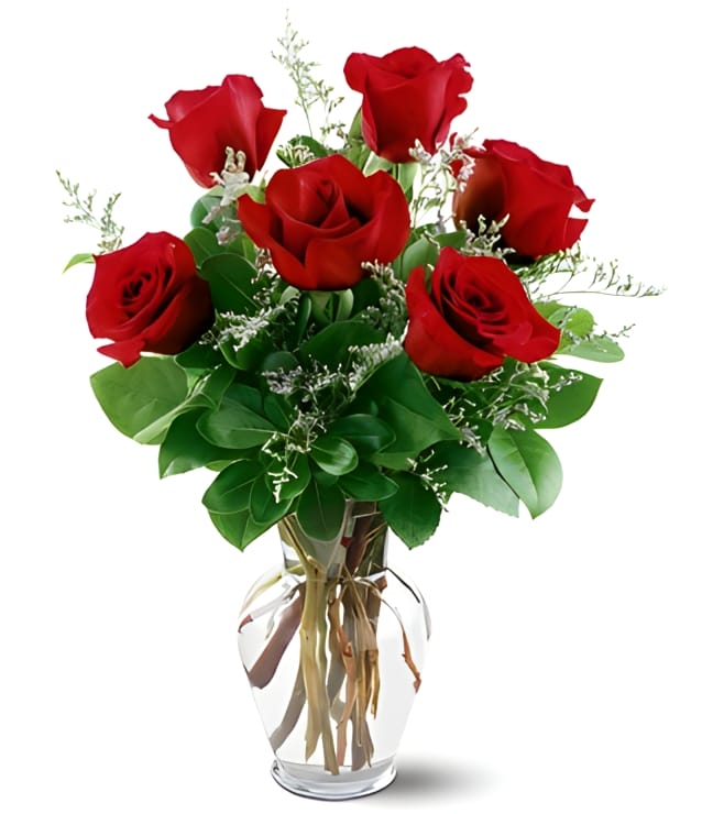 6 Red roses, Deals & Discounts