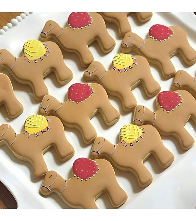 Arabian Camel Cookies