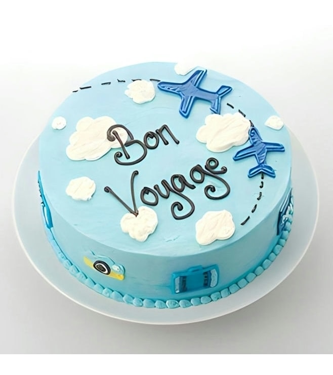 Ready for Takeoff Farewell Cake