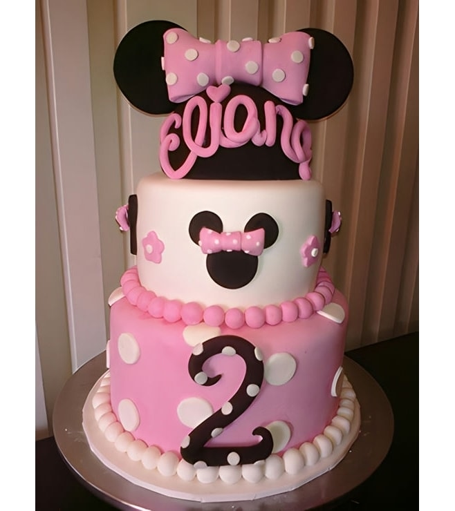 Minnie Mouse Bow and Ears Cake