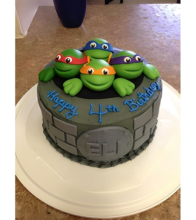 TMNT Out of the Sewers Birthday Cake