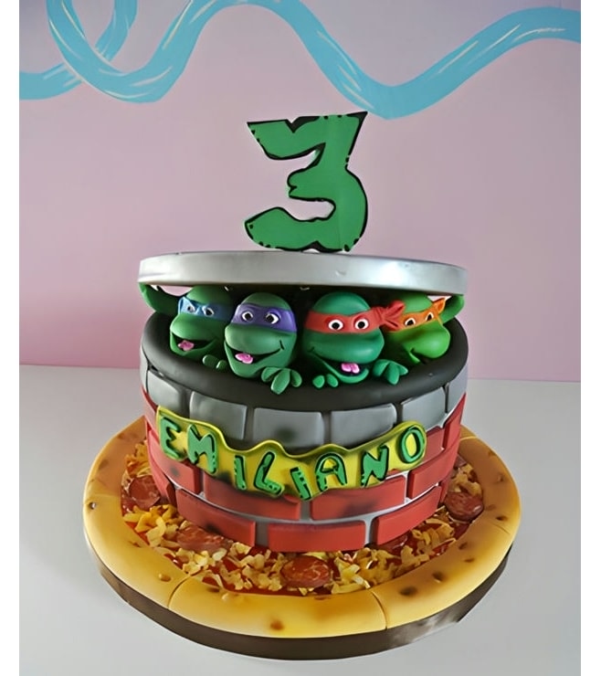 Smell The Pizza TMNT Cake, Ninja Turtle Cakes