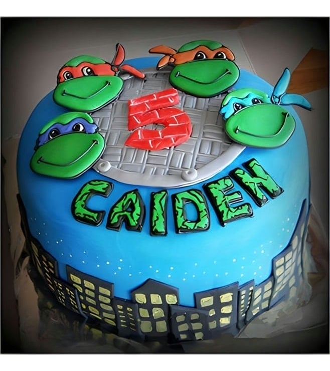 Teenage Mutant Ninja Turtle Birthday Cake