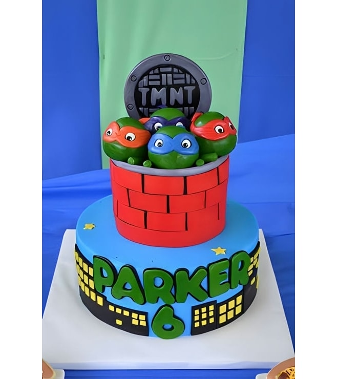 City Watch Ninja Turtle Cake, Ninja Turtle Cakes