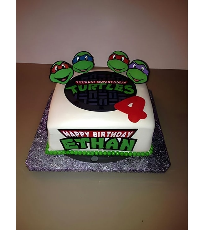 Sewer Lid Ninja Turtles Cake