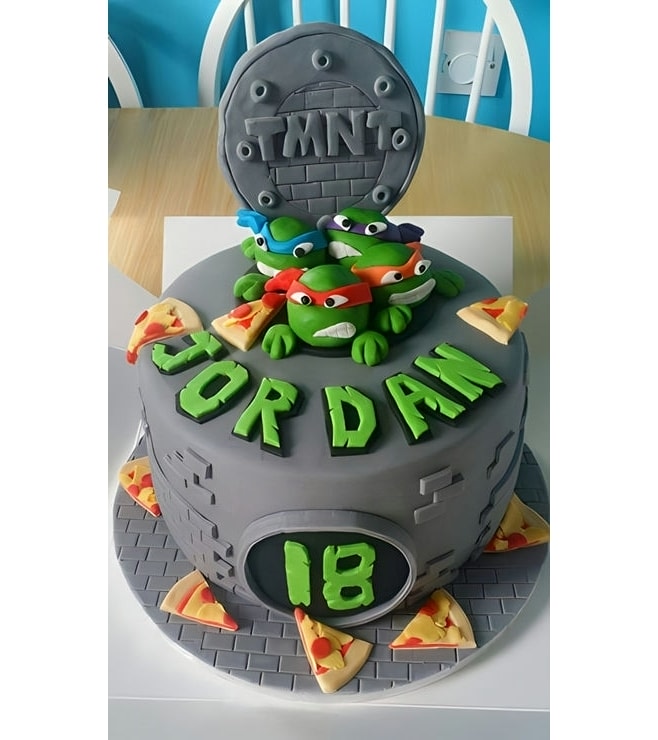 Radical Dudes Ninja Turtle Cake, Ninja Turtle Cakes