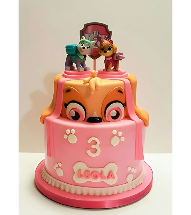 Rocky & Skye Paw Patrol Cake