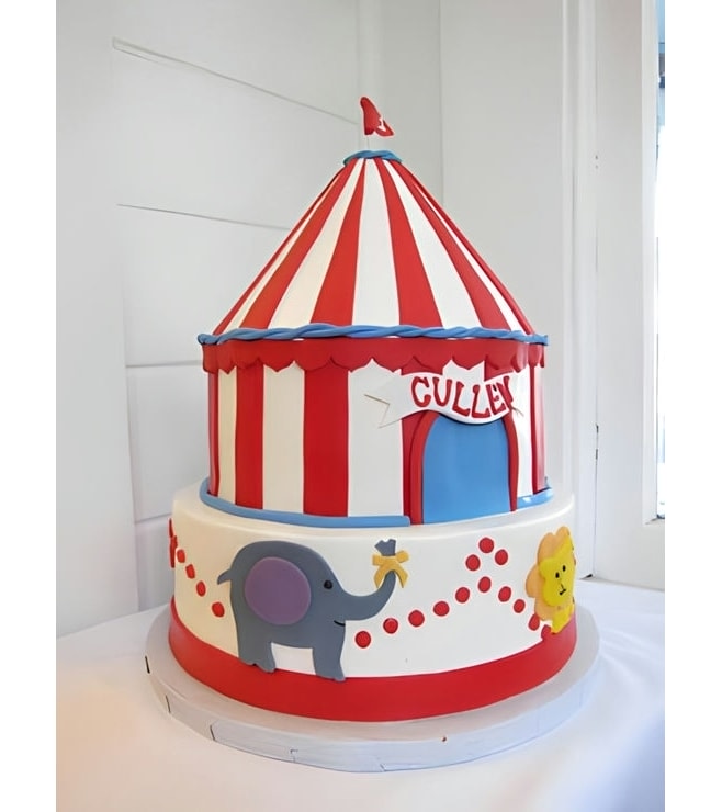Circus Tent Cake 5