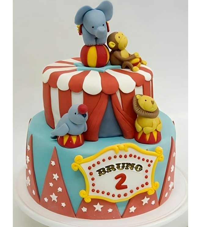 Circus Friends Cake 2, Circus Cakes