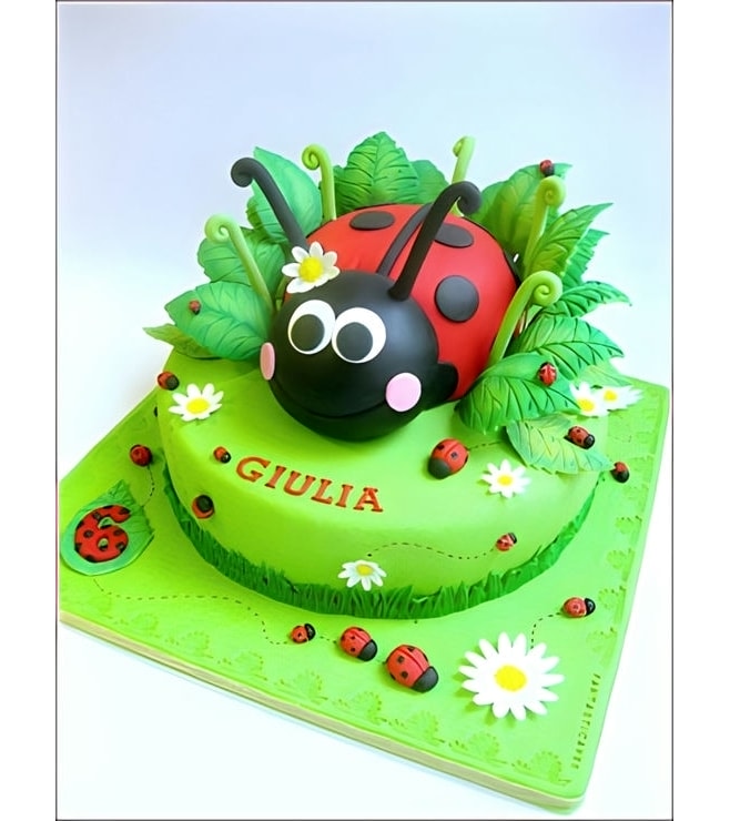 Lucky Little Lady Bug Cake, Cakes for Kids