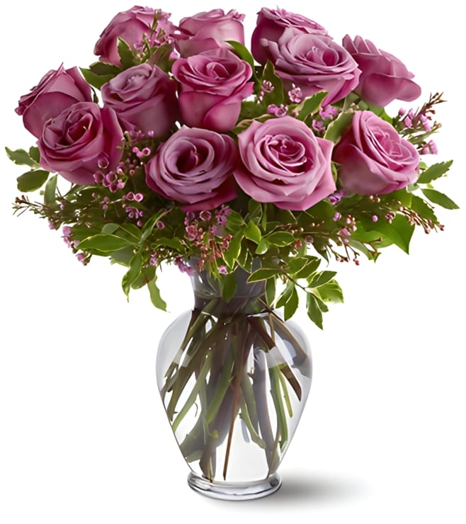 A Dozen Lavender Roses, Black Friday Deals