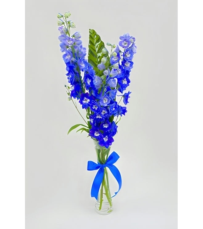 Blissful Blue Bouquet, Hand-Bouquets