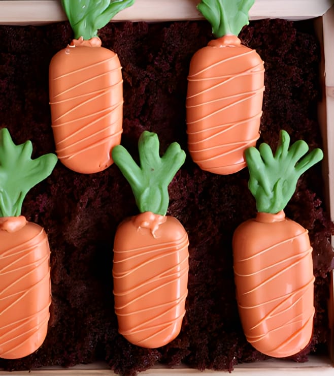 Carrot Patch Cakesicles