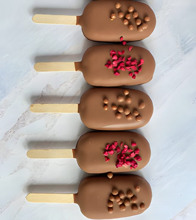 Chocolate Siesta Cakesicles