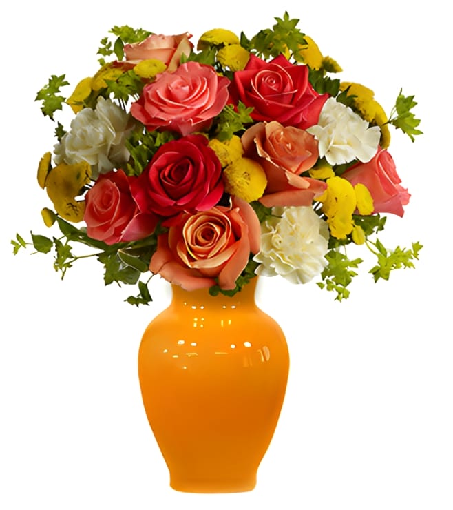 Citrus Kissed, Carnations