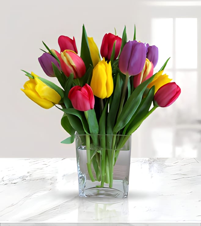 Colorful Love Confession, Tulips