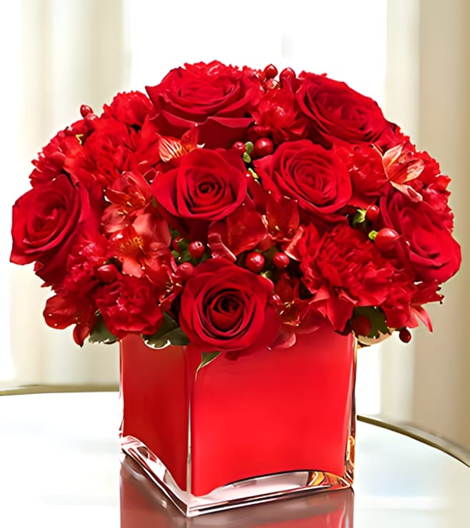 Colors of Love - Red, Carnations