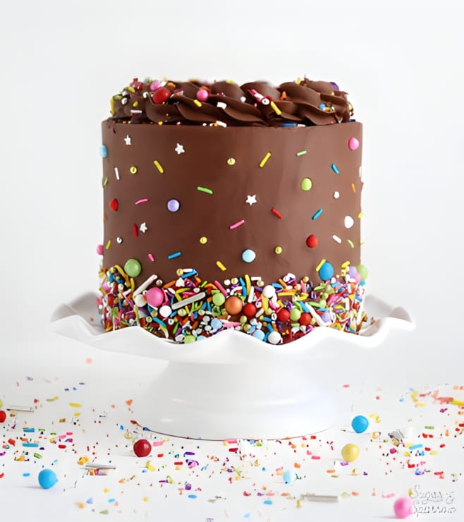 Confetti Shower Birthday Cake