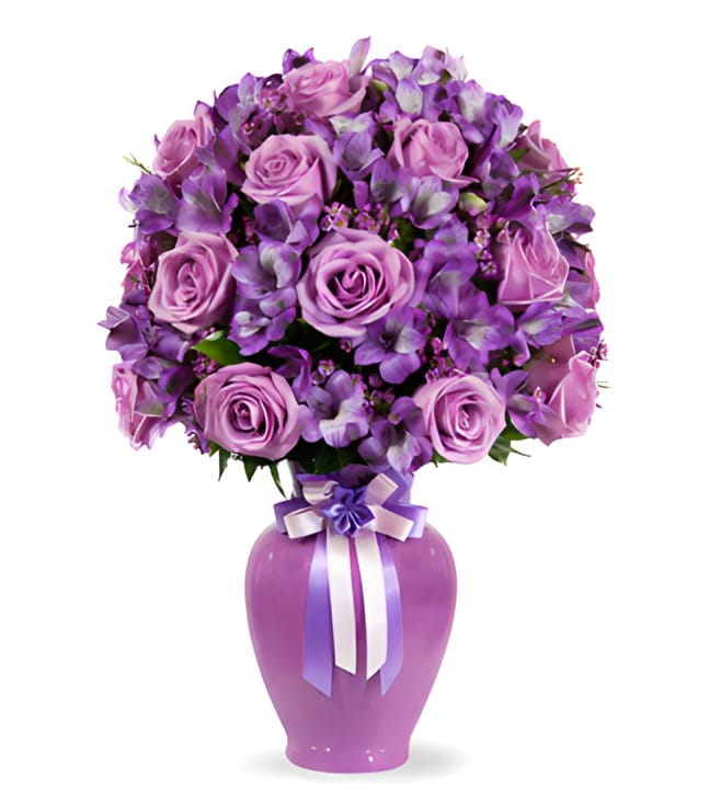 Dreaming of Roses, Purple