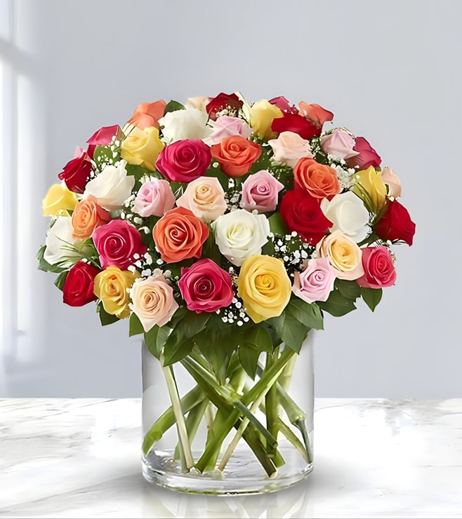 Dreamy Delightful Roses, Back to School