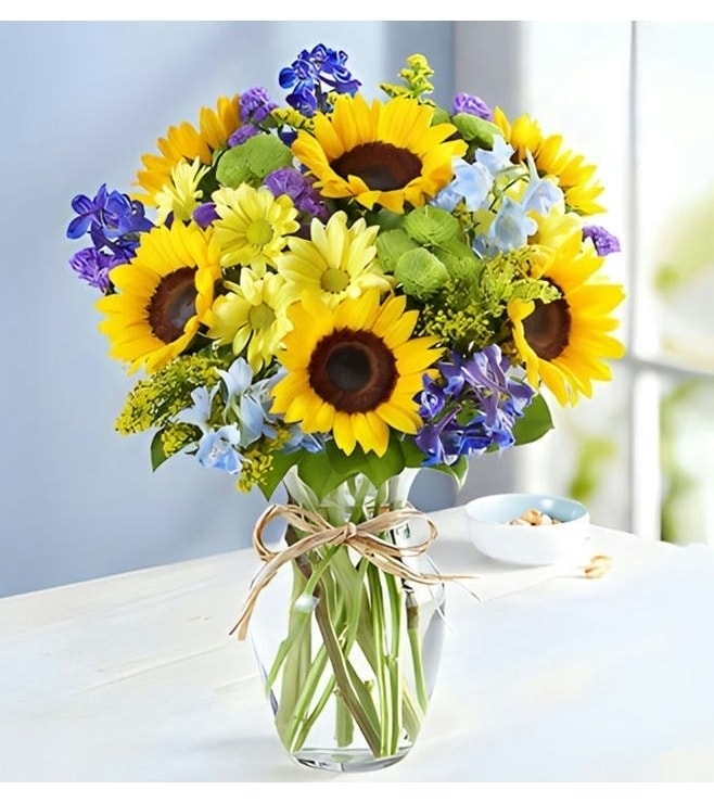 Fields of Europe Summer, Daisies