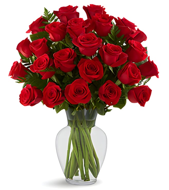 In Love with Red Roses