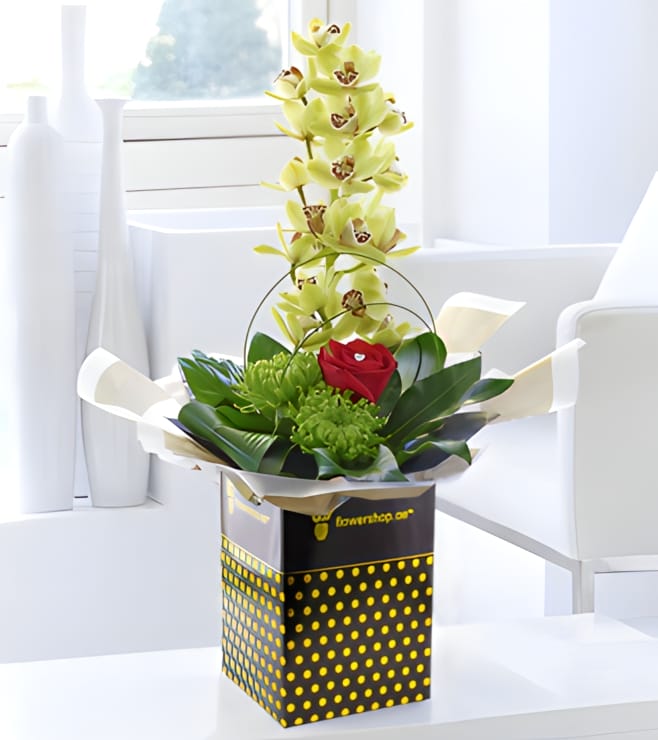 Romantic Orchid Arrangement