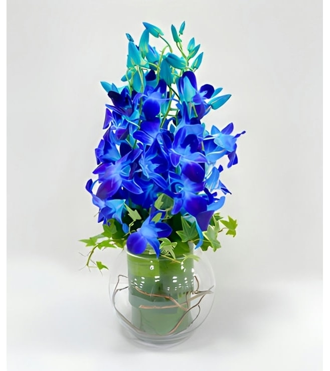 Opulent Blue Orchid Bouquet, Blue