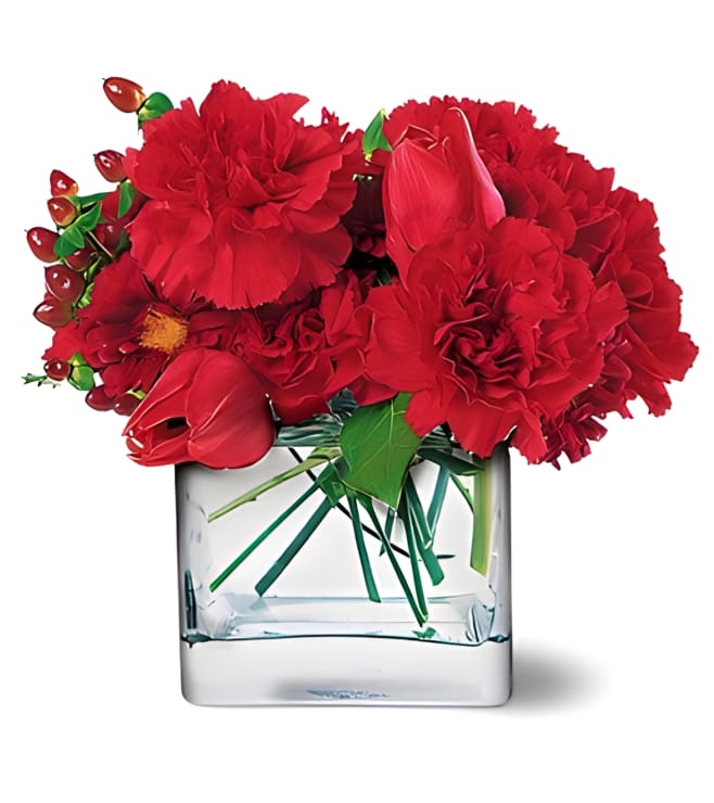 Passionate Reds, Carnations