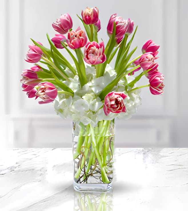Pink Tulip Paradise, Love and Romance