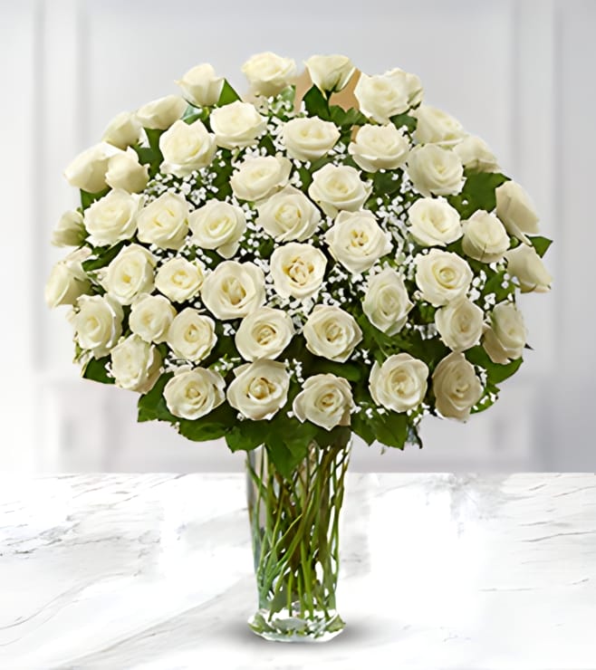 Serene White Roses