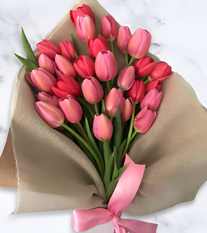 Pretty Tulip Fantasy, Flowers