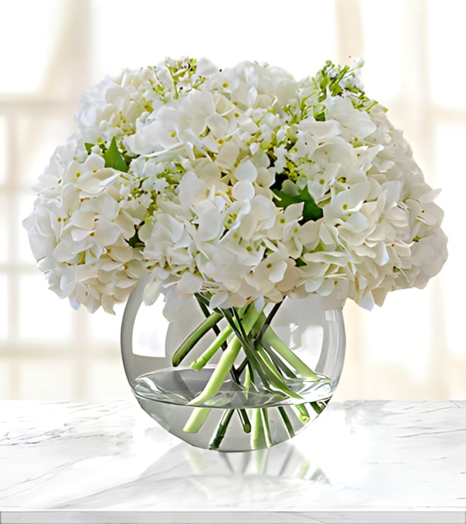Pristine White Hydrangea Bouquet