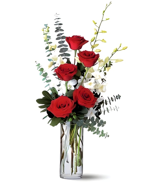 Red Roses and White Orchids, Red