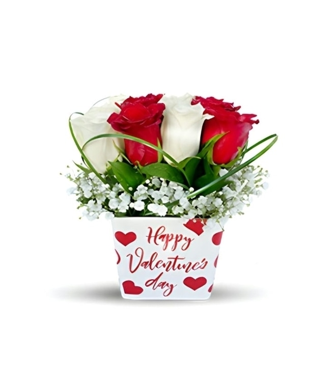 Red & White Rose Valentine's Day Bouquet
