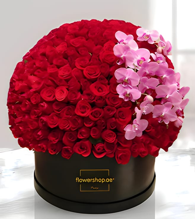 Rouge Royale Hatbox