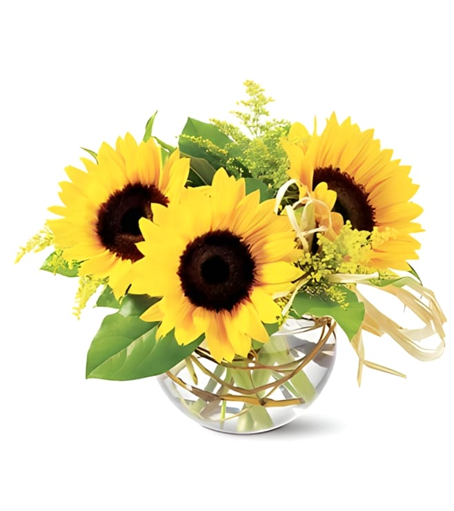 Sassy Sunflowers, Yellow