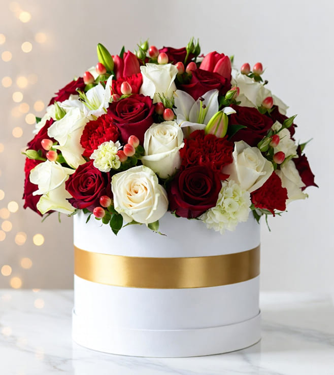 Scarlet & Snow Harmony, Christmas Gifts