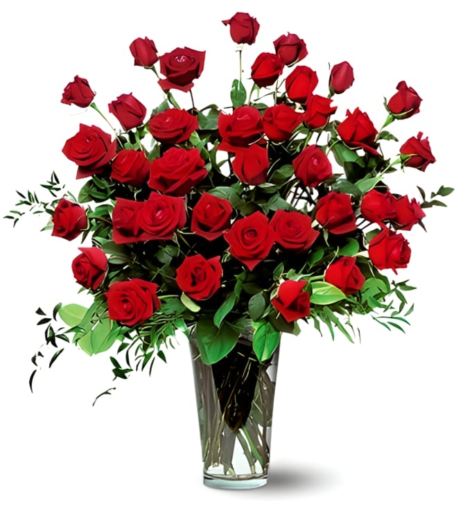 Three Dozen Red Roses, All Occasions