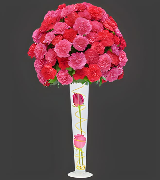 Ultimate Elegance, Carnations