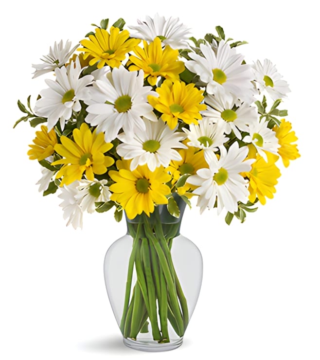 Upsy Daisy Bouquet, Spring