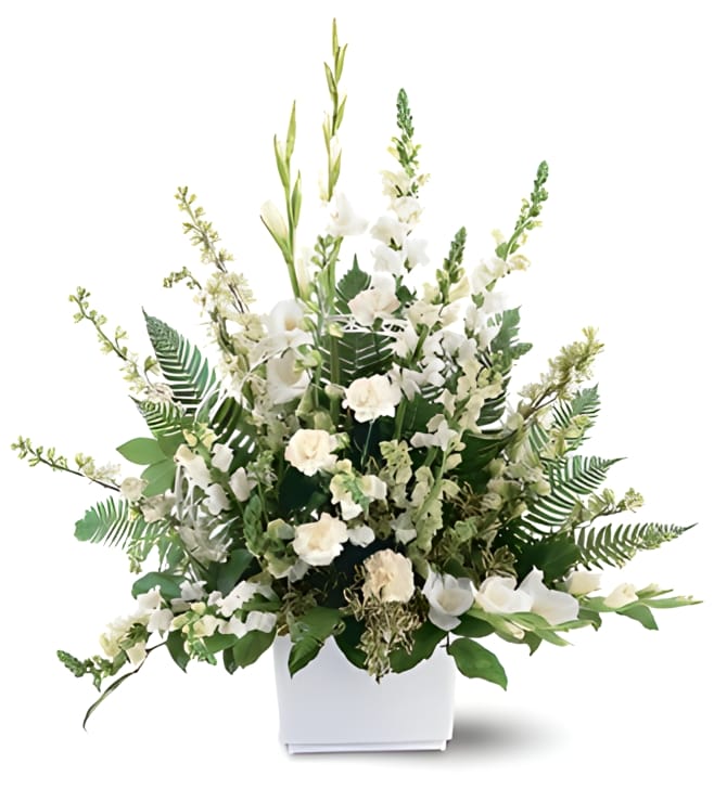White Expressions Basket, Carnations