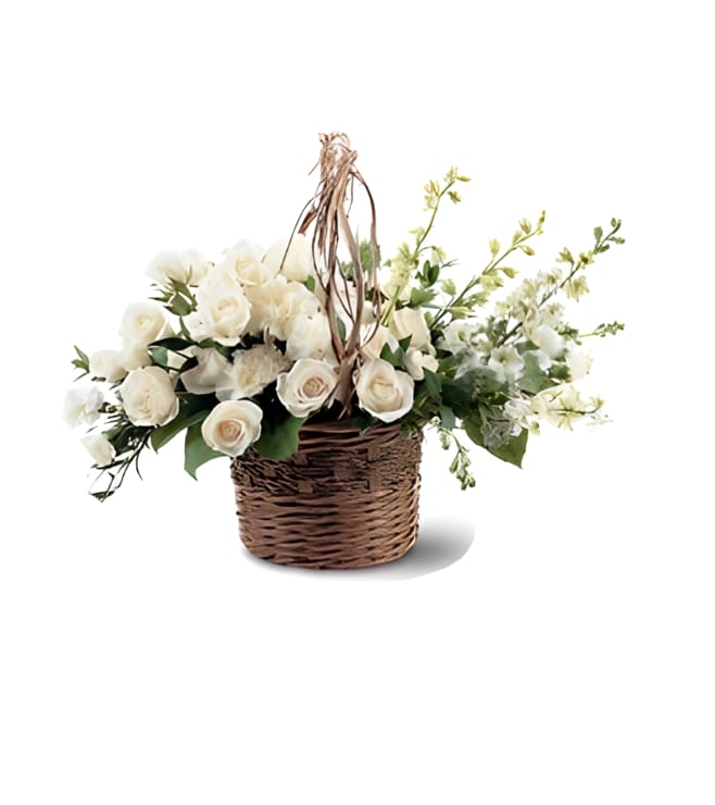 Basket of Light, Carnations