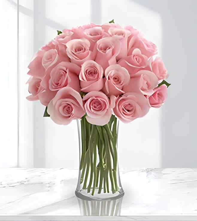 Dreamy Pink roses