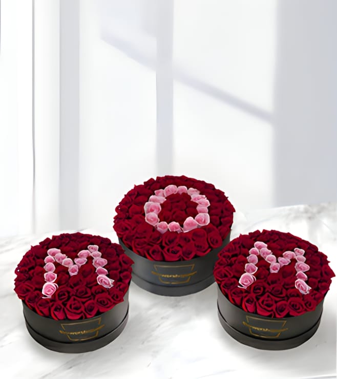 Classique MOM Rose Hatbox