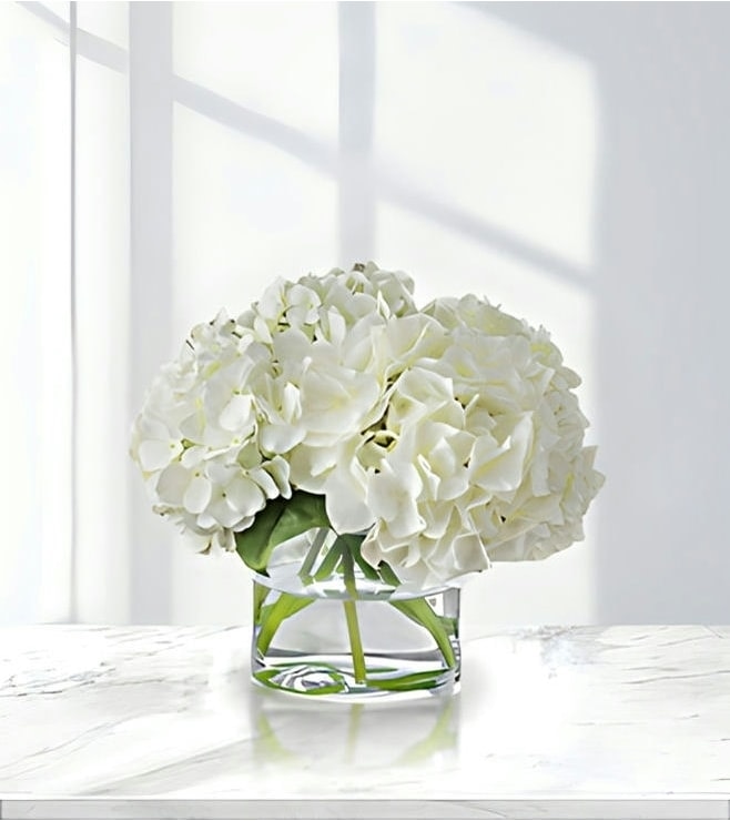 Heavenly White Hydrangea