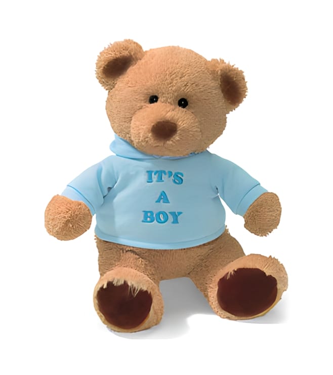 It's a boy teddy bear, Gifts