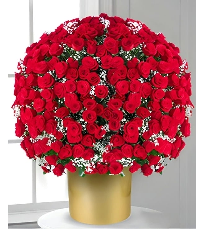 500 Red Roses, Valentine's Day